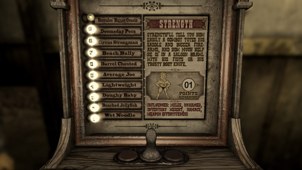 Fallout New Vegas SS1