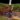 Haven and Hearth Cover