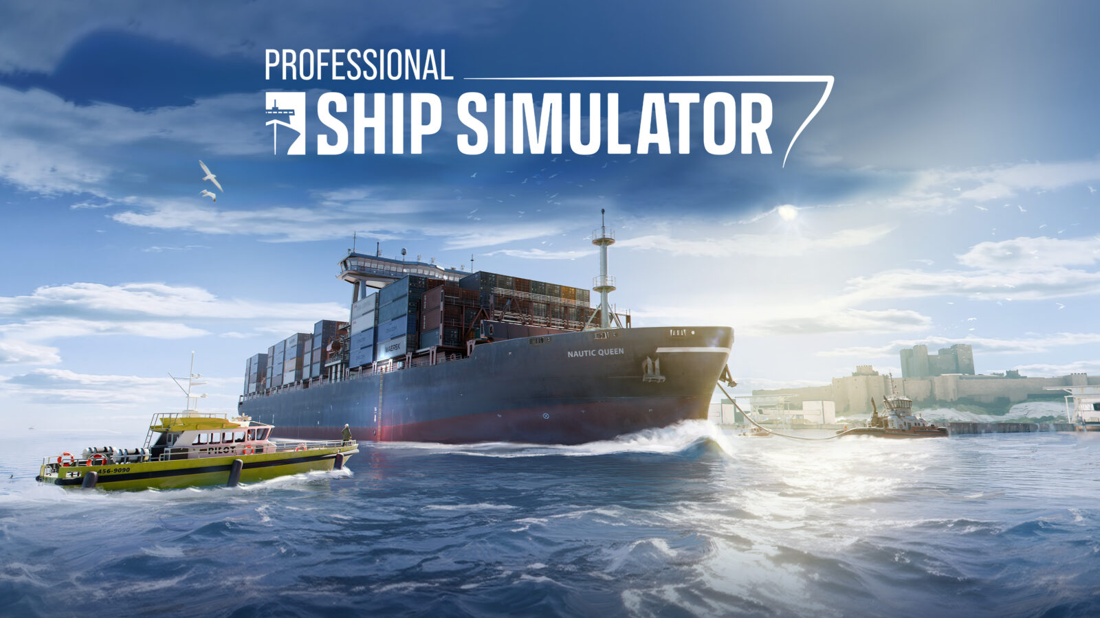 Professional Ship Simulator Cover